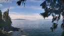 ./images/koeye/fitz-hugh/20260824/fitz-hugh20260824_121001M.jpg