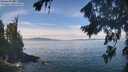 ./images/koeye/fitz-hugh/20260824/fitz-hugh20260824_121501M.jpg