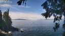 ./images/koeye/fitz-hugh/20260824/fitz-hugh20260824_123001M.jpg
