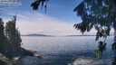 ./images/koeye/fitz-hugh/20260824/fitz-hugh20260824_124501M.jpg