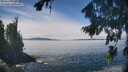 ./images/koeye/fitz-hugh/20260824/fitz-hugh20260824_125001M.jpg