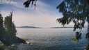 ./images/koeye/fitz-hugh/20260824/fitz-hugh20260824_125501M.jpg