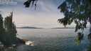 ./images/koeye/fitz-hugh/20260824/fitz-hugh20260824_130001M.jpg