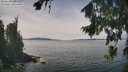 ./images/koeye/fitz-hugh/20260824/fitz-hugh20260824_131501M.jpg