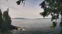 ./images/koeye/fitz-hugh/20260824/fitz-hugh20260824_132002M.jpg