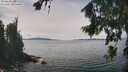 ./images/koeye/fitz-hugh/20260824/fitz-hugh20260824_133001M.jpg