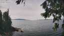 ./images/koeye/fitz-hugh/20260824/fitz-hugh20260824_133501M.jpg