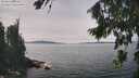 ./images/koeye/fitz-hugh/20260824/fitz-hugh20260824_134002M.jpg