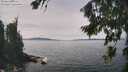 ./images/koeye/fitz-hugh/20260824/fitz-hugh20260824_134501M.jpg