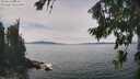 ./images/koeye/fitz-hugh/20260824/fitz-hugh20260824_135001M.jpg