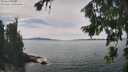 ./images/koeye/fitz-hugh/20260824/fitz-hugh20260824_135501M.jpg