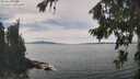 ./images/koeye/fitz-hugh/20260824/fitz-hugh20260824_140002M.jpg