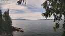 ./images/koeye/fitz-hugh/20260824/fitz-hugh20260824_140501M.jpg
