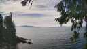./images/koeye/fitz-hugh/20260824/fitz-hugh20260824_142001M.jpg