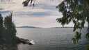 ./images/koeye/fitz-hugh/20260824/fitz-hugh20260824_142501M.jpg