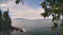 ./images/koeye/fitz-hugh/20260824/fitz-hugh20260824_144001M.jpg