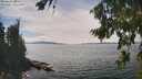 ./images/koeye/fitz-hugh/20260824/fitz-hugh20260824_145002M.jpg
