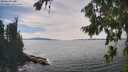 ./images/koeye/fitz-hugh/20260824/fitz-hugh20260824_150001M.jpg