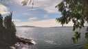 ./images/koeye/fitz-hugh/20260824/fitz-hugh20260824_152501M.jpg