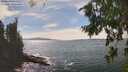 ./images/koeye/fitz-hugh/20260824/fitz-hugh20260824_153002M.jpg