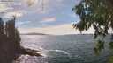 ./images/koeye/fitz-hugh/20260824/fitz-hugh20260824_153501M.jpg