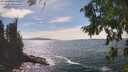 ./images/koeye/fitz-hugh/20260824/fitz-hugh20260824_154001M.jpg