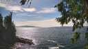 ./images/koeye/fitz-hugh/20260824/fitz-hugh20260824_154501M.jpg