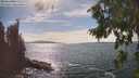 ./images/koeye/fitz-hugh/20260824/fitz-hugh20260824_155001M.jpg