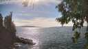 ./images/koeye/fitz-hugh/20260824/fitz-hugh20260824_160501M.jpg