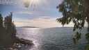 ./images/koeye/fitz-hugh/20260824/fitz-hugh20260824_161001M.jpg
