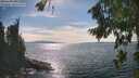 ./images/koeye/fitz-hugh/20260824/fitz-hugh20260824_161501M.jpg