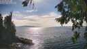 ./images/koeye/fitz-hugh/20260824/fitz-hugh20260824_162501M.jpg