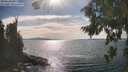 ./images/koeye/fitz-hugh/20260824/fitz-hugh20260824_163001M.jpg