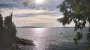 ./images/koeye/fitz-hugh/20260824/fitz-hugh20260824_163501M.jpg