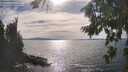./images/koeye/fitz-hugh/20260824/fitz-hugh20260824_164501M.jpg