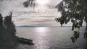 ./images/koeye/fitz-hugh/20260824/fitz-hugh20260824_165501M.jpg
