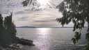 ./images/koeye/fitz-hugh/20260824/fitz-hugh20260824_170002M.jpg