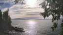 ./images/koeye/fitz-hugh/20260824/fitz-hugh20260824_170501M.jpg