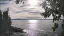 ./images/koeye/fitz-hugh/20260824/fitz-hugh20260824_171501M.jpg