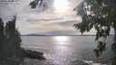 ./images/koeye/fitz-hugh/20260824/fitz-hugh20260824_172001M.jpg