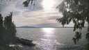 ./images/koeye/fitz-hugh/20260824/fitz-hugh20260824_172501M.jpg