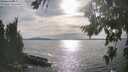 ./images/koeye/fitz-hugh/20260824/fitz-hugh20260824_173002M.jpg