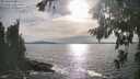 ./images/koeye/fitz-hugh/20260824/fitz-hugh20260824_173501M.jpg
