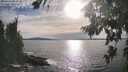 ./images/koeye/fitz-hugh/20260824/fitz-hugh20260824_174501M.jpg