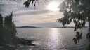 ./images/koeye/fitz-hugh/20260824/fitz-hugh20260824_175501M.jpg