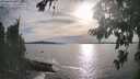 ./images/koeye/fitz-hugh/20260824/fitz-hugh20260824_180502M.jpg