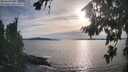 ./images/koeye/fitz-hugh/20260824/fitz-hugh20260824_182001M.jpg