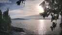 ./images/koeye/fitz-hugh/20260824/fitz-hugh20260824_183001M.jpg