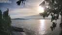 ./images/koeye/fitz-hugh/20260824/fitz-hugh20260824_183501M.jpg