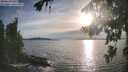 ./images/koeye/fitz-hugh/20260824/fitz-hugh20260824_184001M.jpg